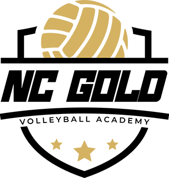 nc-gold-b-logo